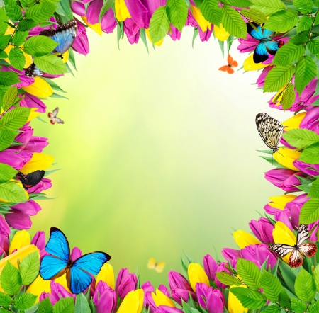 Flowers Butterflies Flowers Nature Background