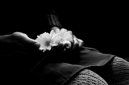 Simplicity - flowers, black and white, in his hands, simplicity