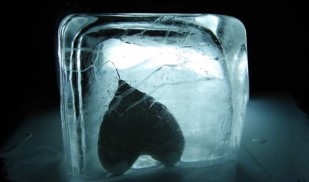 Frozen Heart By... - picture, two colors, frozen, heart