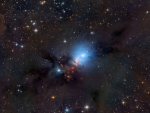 NGC 1333 Stardust