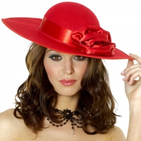 ~ Red Hat Lady~