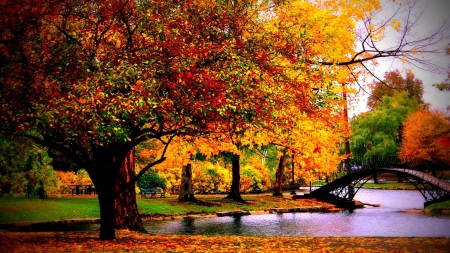 bridge on a pond in an autumn park - autumn, trees, park, leaves, pons, bridge