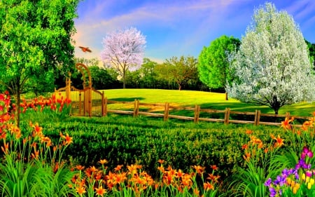 Summer Nature - fields, sky, blossoms, trees, forces of nature, flowers, green colors