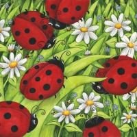 â˜…LadyBugs in Gardenâ˜…