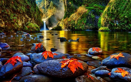 The beauty of nature - river, The, nature, of, beauty, autumn leaves, stones