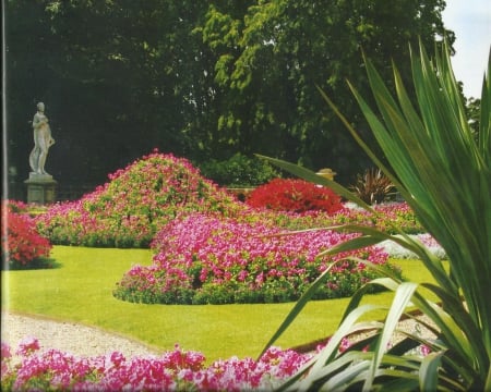 Garden - green, flowers, grass, trees