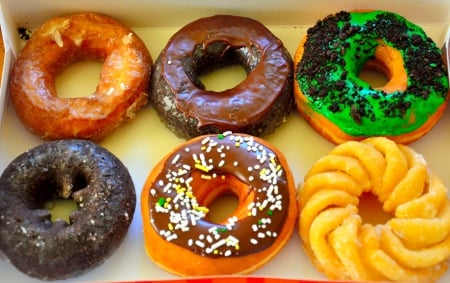 Dunkin Donuts - doughnut, donut, donuts, doughnuts, dunkin donuts