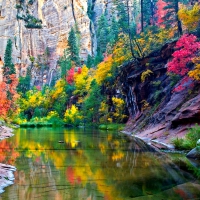 West Fork Canyon, Arizona