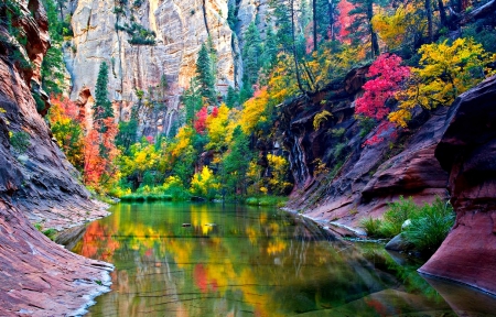 West Fork Canyon, Arizona - autumn, trees, reflection, cliff, water, colors, creek