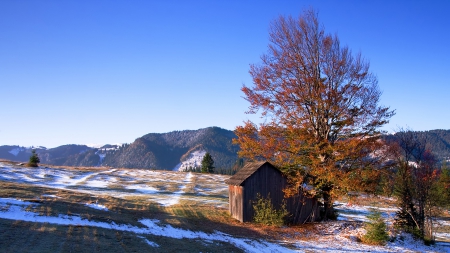 cabin on a hill in rumania - hill, tree, winter, cabin