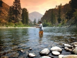 Fly Fishing