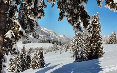 Winter in the mountains of Switzerland