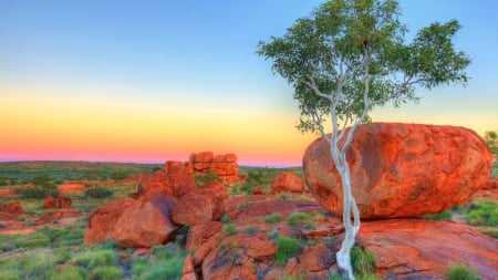 * LANDSCAPE * - nature, tree, canion, landscape