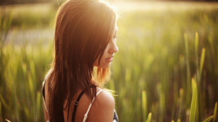 brunette - brunette, field, model, light