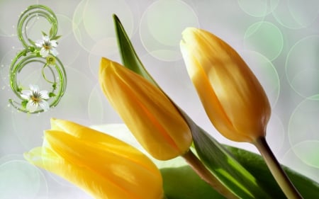 * HAPPY 8 MARCH * - flowers, holiday, nature, tulips