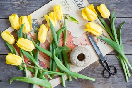 Tulips - flowers, tulips, yellow flowers, beautiful