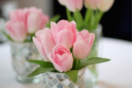 Pink Pastel - small bouquet, soft, pink, pink tulips, pastel, flowers