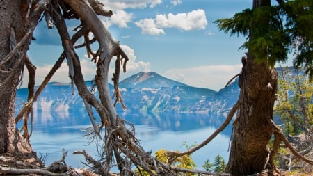 crater lake in oregon - branches, lake, trees, mountains, crater