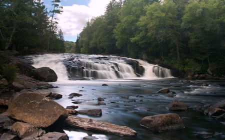 Forest Waterfall - forest, trees, waterfall, rocks