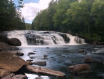 Forest Waterfall