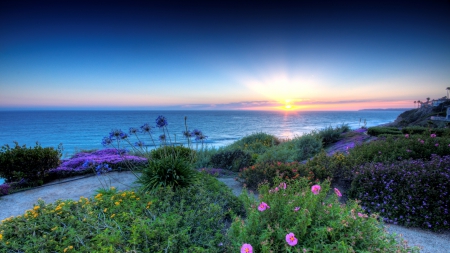 beautiful flowers on san clemente california seacoast hdr - coast, flowers, sunset, sea, hdr