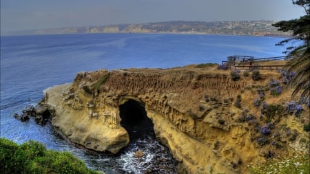 coastal cave in la jolla california hdr - cave, rocks, coast, flowers, overlook, sea, hdr