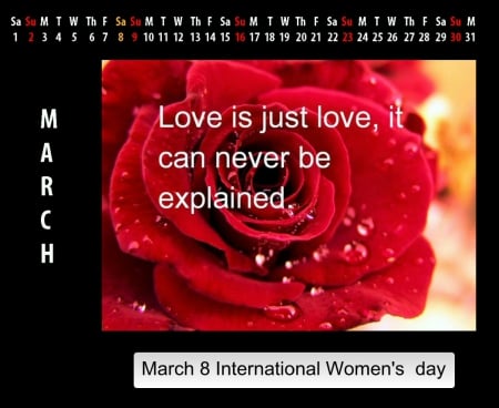 Happy International Women's day - flowers, calendars, woman, March, rose, love