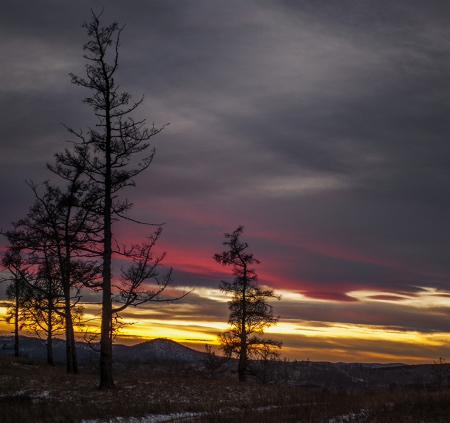 Beautiful Sky - sky, trees, sunset, clouds