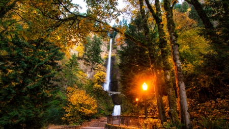 fantastic multnomah falls park in oregon hdr - cliff, forest, lamps, waterfalls, trees, park, hdr