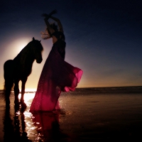 Beauty and Black stallion on the beach