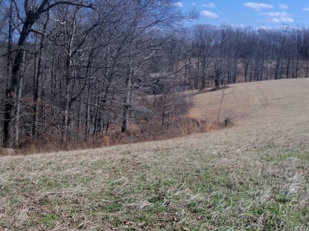 Rolling Field - nature, fields, timber, barn