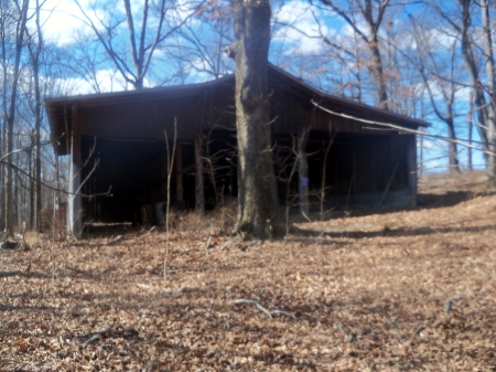 Woodshed In The Woods - Farm, Architecture, Nature, Barn