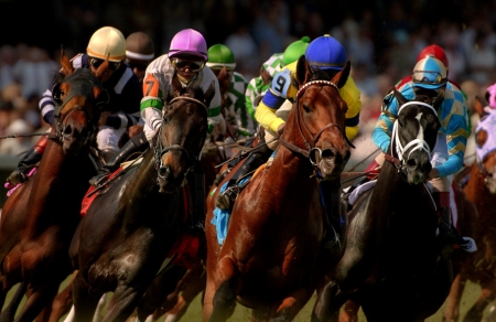 Kentucky Derby - excitement, Horse, winning, racing