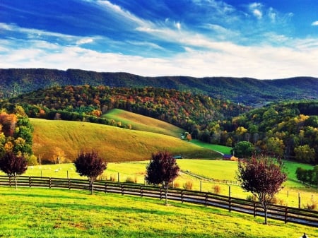 Virginia Landscape - seasons, colors, fall, trees