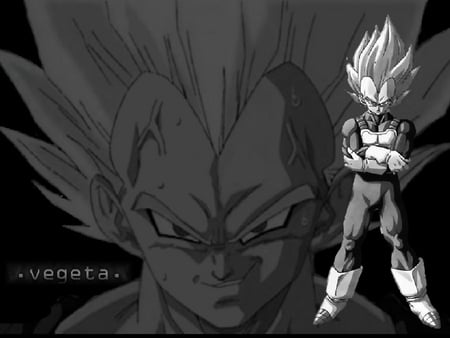 Vegeta - vegeta