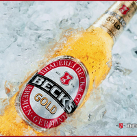 Becks Gold Beer