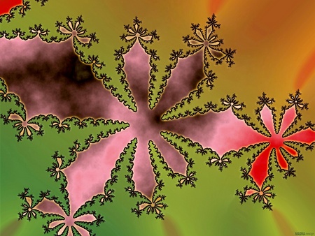 Sombrero Fractal - fractal, windows, druffix, vista, windows vista, xp, art, abstract, cool, artwork, green, flowers, colors