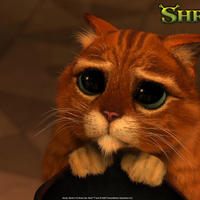 Kitty Looking Sad
