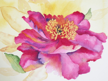 Peony Flower - art, pink peony flower