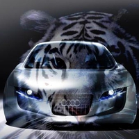 audi-tiger