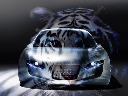 audi-tiger