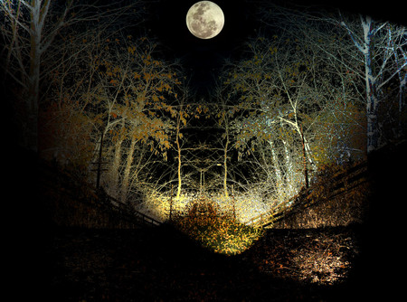 Night - moon, nature