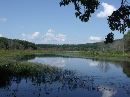 Outdoor Love - clouds, trees, water, sky