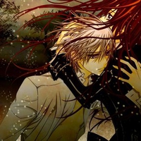Vampire Knight