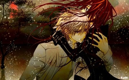 Vampire Knight - knight, vampire, snow