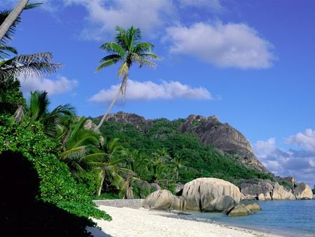 COME WITH ME - and may be you, peace, tree, rock, sand, the sea