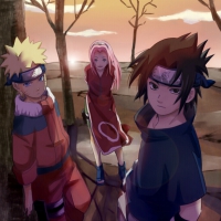 Team 7