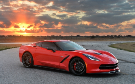 2014 Hennessey Corvette Stingray - stingray, corvette, cars, 2014