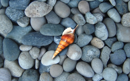 Summer - view from the top, stone, beach, vara, summer, brown, grey, blue, shell