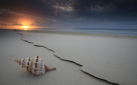 Summer - summer, landscape, evening, beach, shell, blue, sand, orange, sunset, sea